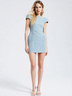 Cap Sleeve Seamed Bodycon Mini Dress